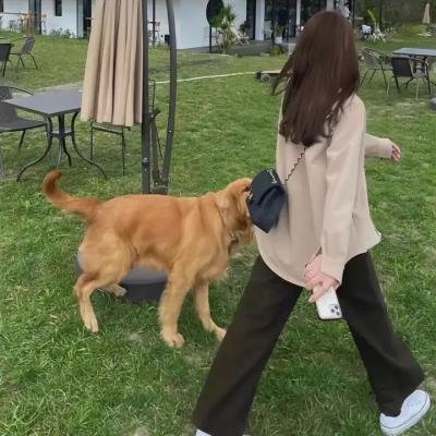 马里兰庄园